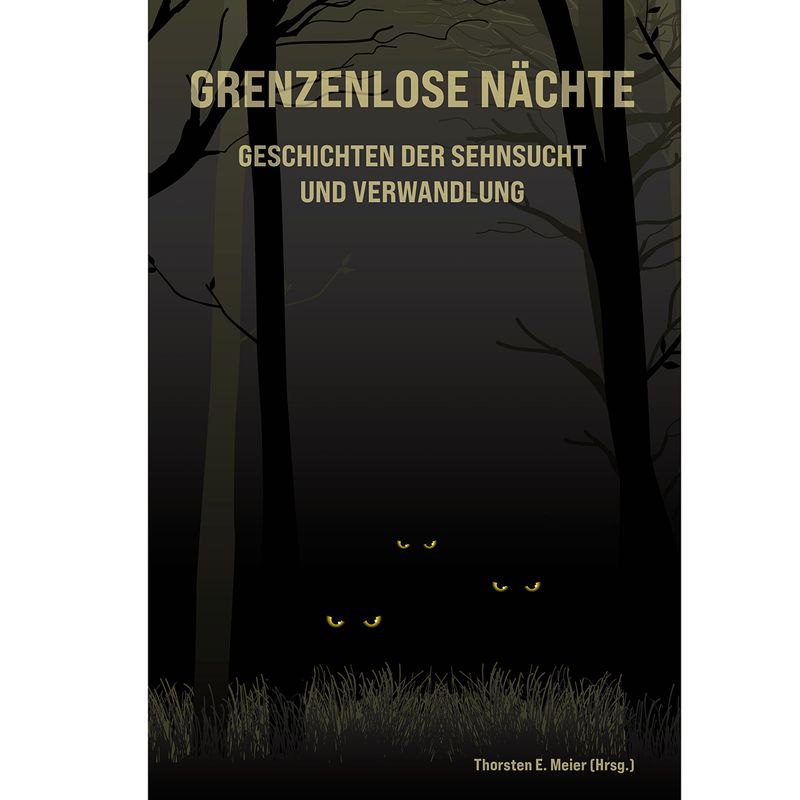 Grenzenlose Nächte Bd. 1: Geschichten zwischen Schlaf + Wachen, Licht + Schatten