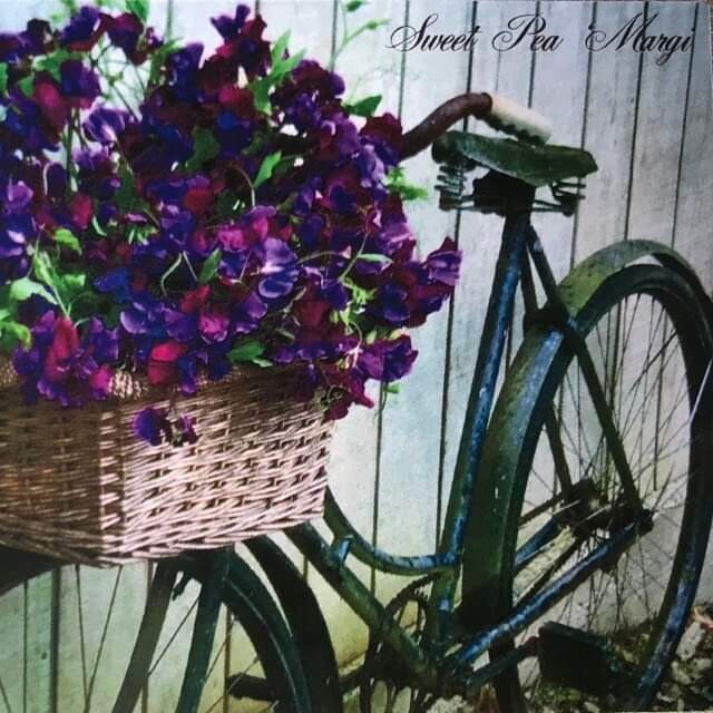 Greeting Card ‘Sweet Peas & Bicycle’