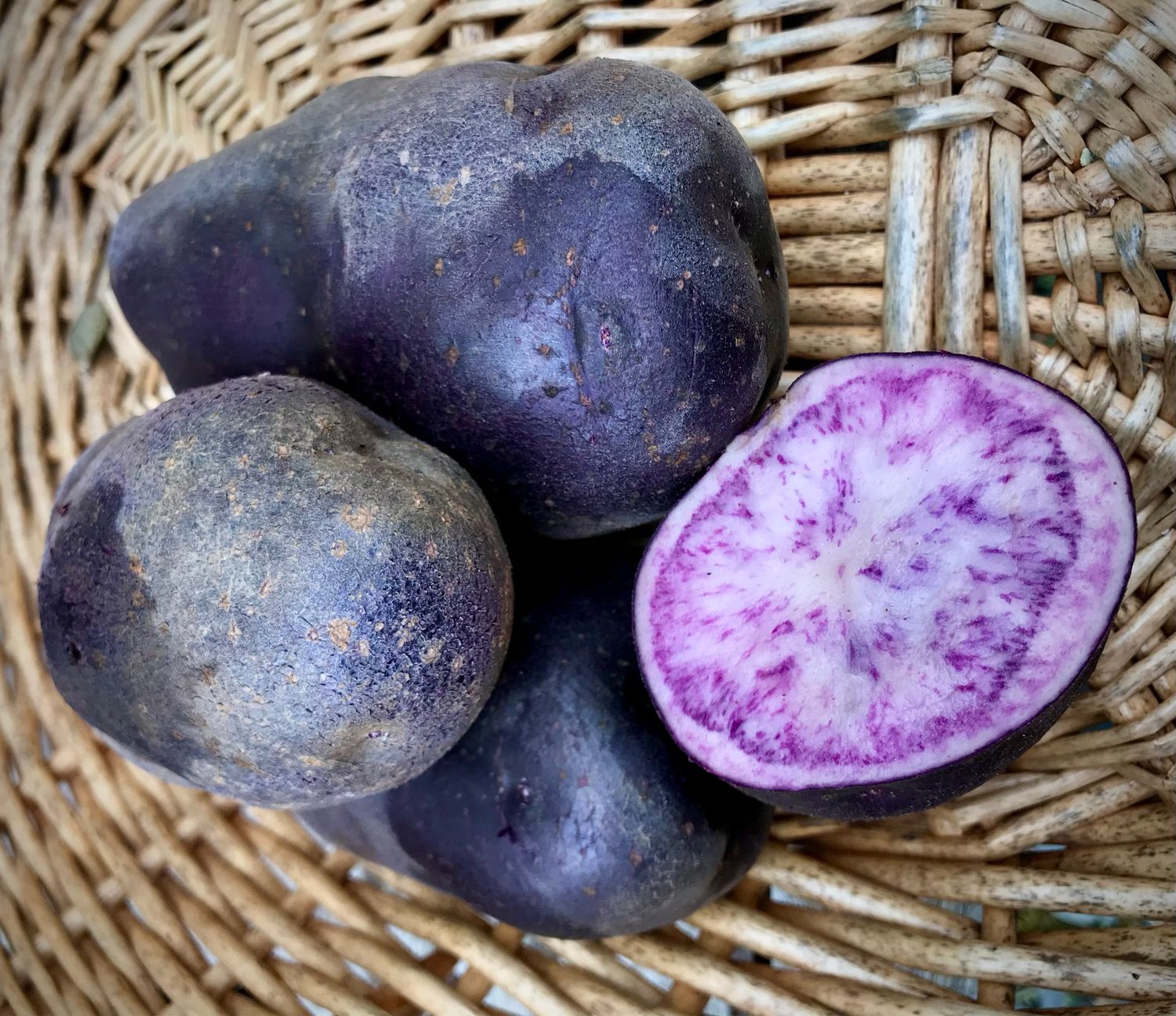 Scottish Salad Blue