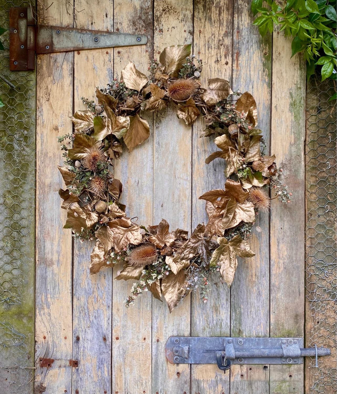 Wreath Dried Flowers &amp; Foliage