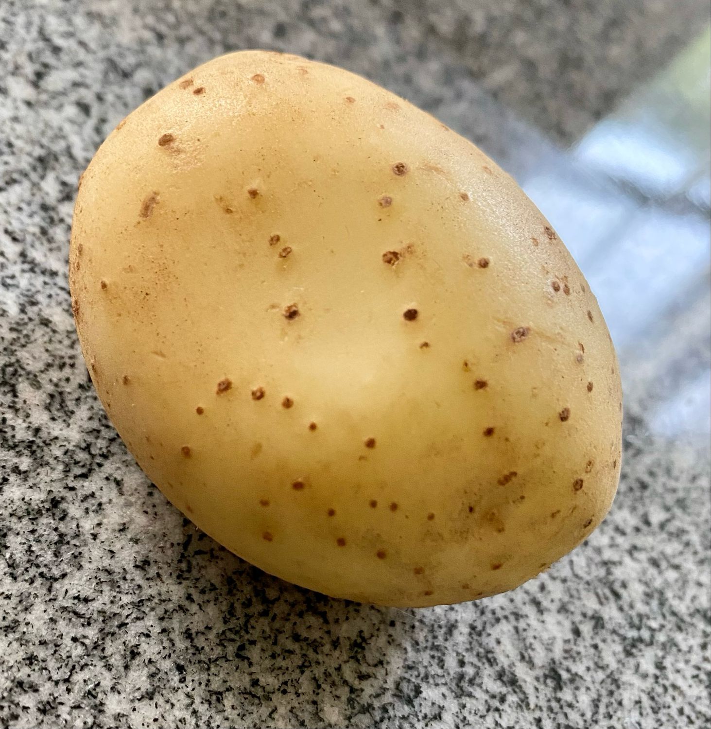 Seed Potatoes Heritage ‘Arran Chief’