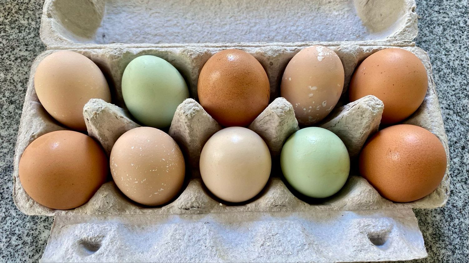 Chicken Eggs Mixed ( 1doz)