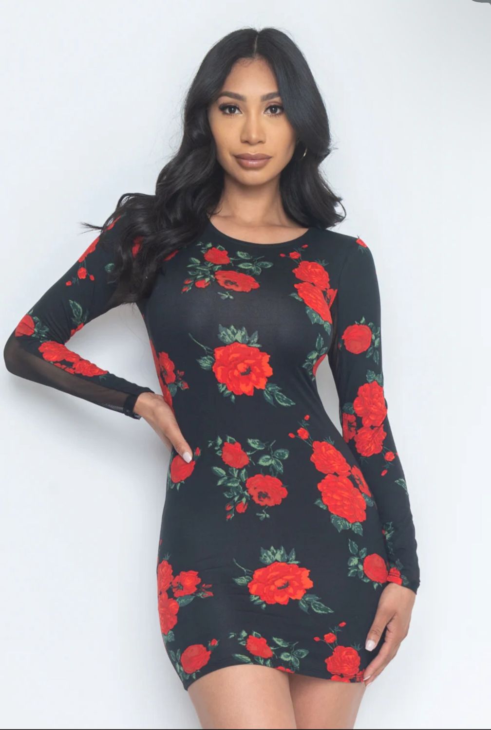 Floral Print Sheer Mesh Long Sleeve Round Neck Mini Dress In Black