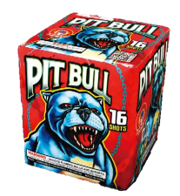 PIT BULL