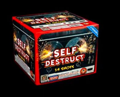 SELF DESTRUCT