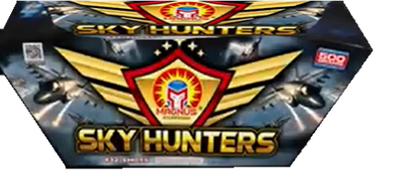 SKY HUNTERS