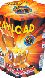 PAYLOAD