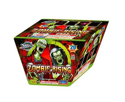 ZOMBIE RISING