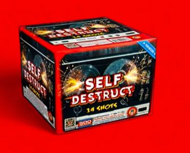 SELF DESTRUCT