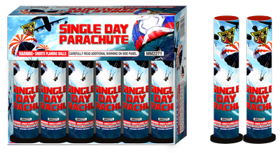 Single Day Parachute - Racoon