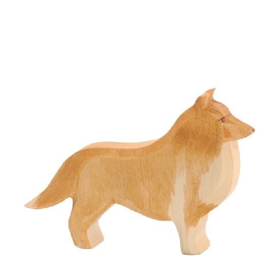 Dog - Collie