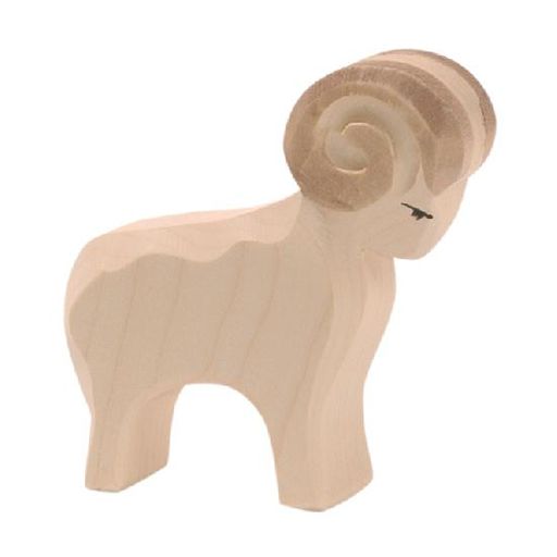 Sheep - Ram
