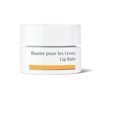 Lip Balm