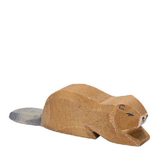 Beaver Lying