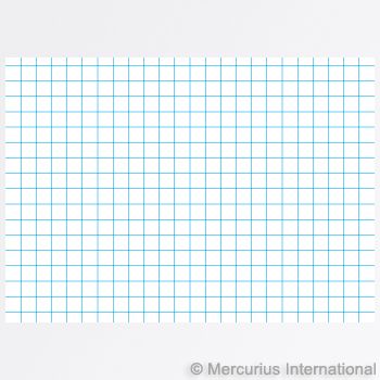 Composition book 21x30cm - graph 5mm blue cover