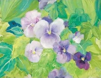Marjan van Zeyl Postcard