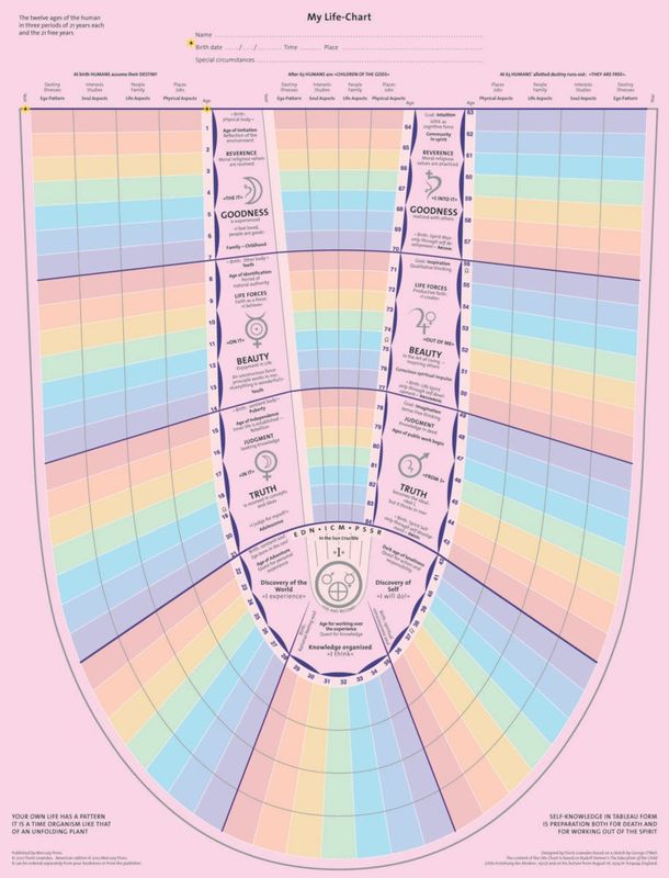 My Life-Chart The Human Life