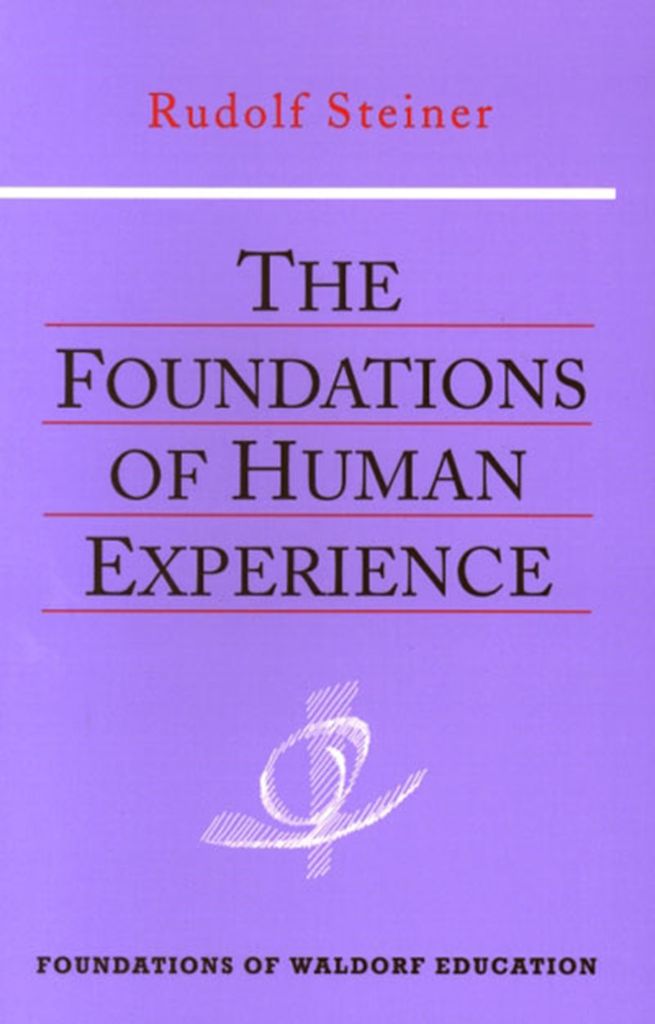 The Foundations Of Human Experience: (CW 293)