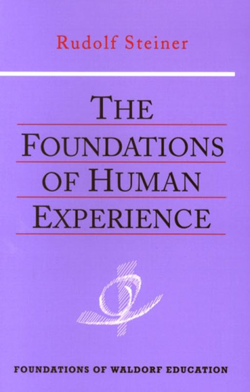The Foundations Of Human Experience: (CW 293)
