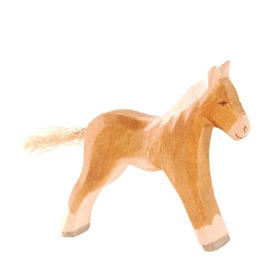 Haflinger Colt