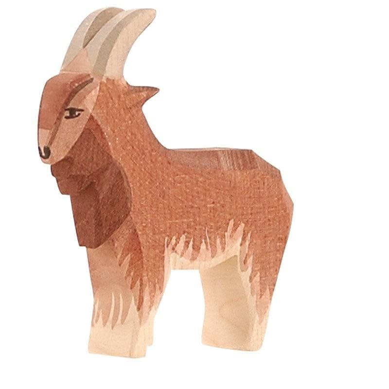 Goat male