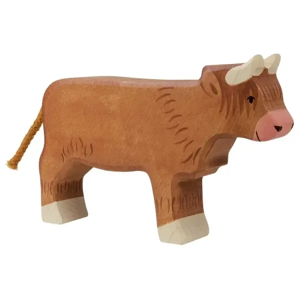 Higland cattle, standing