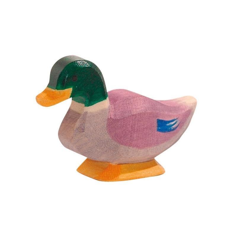 Duck male