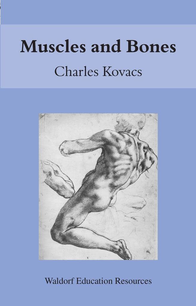 Muscles And Bones: Waldorf Education Resources