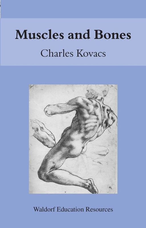 Muscles And Bones: Waldorf Education Resources