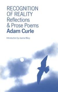 Recognition Of Reality: Reflections &amp; Prose Poems