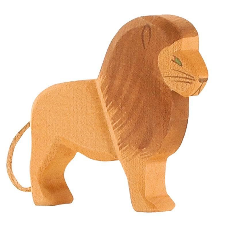 Lion male