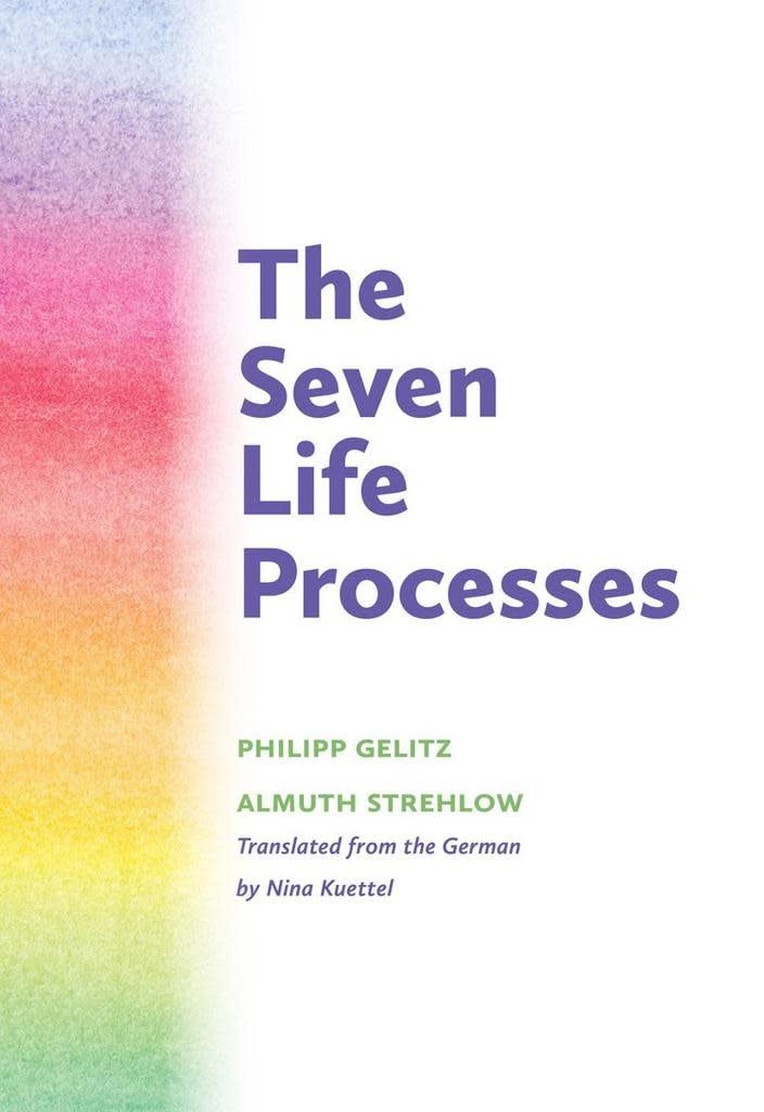 The Seven Life Processes - Understanding and Supporting Them in Home, Kindergarten, and School