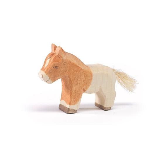 Horse, Shetland Foal - Ostheimer