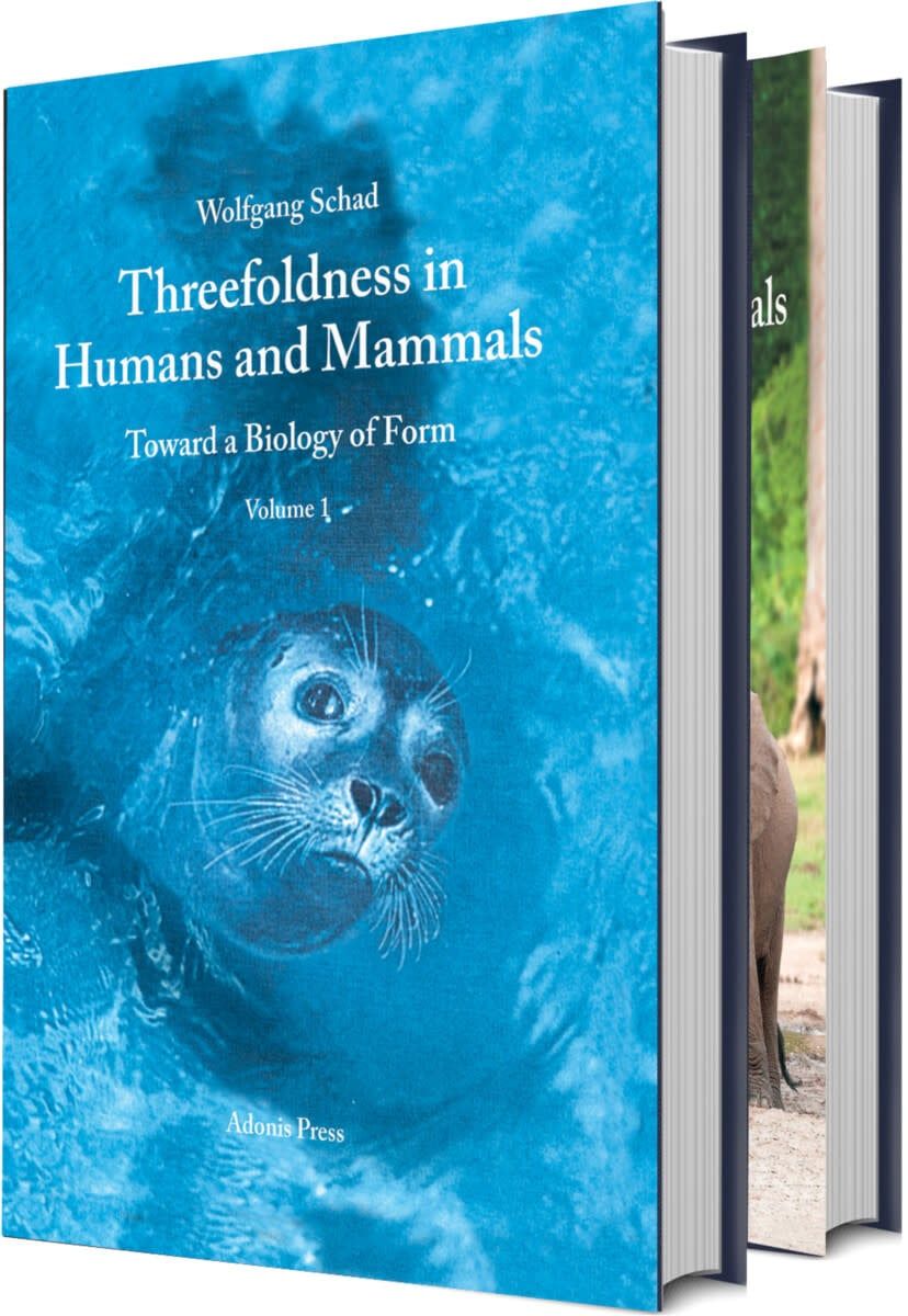Threefoldness in Humans and Mammals - Toward a Biology of Form