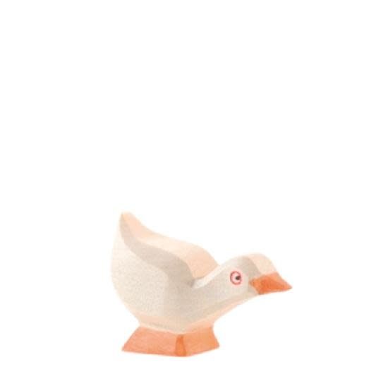 Goose - Gosling head low