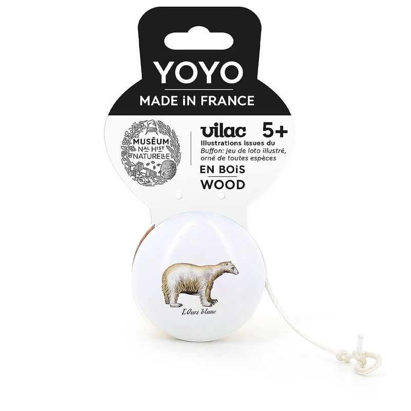 Yoyo, White Bear - Museum national dHistoire naturelle