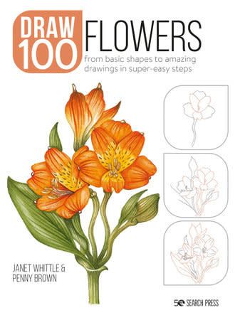 Draw 100: Flowers from basic shapes to amazing drawings in super-easy steps