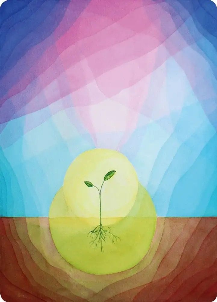 Postcard Kapitein Kalk spring/summer, Color: Sprout