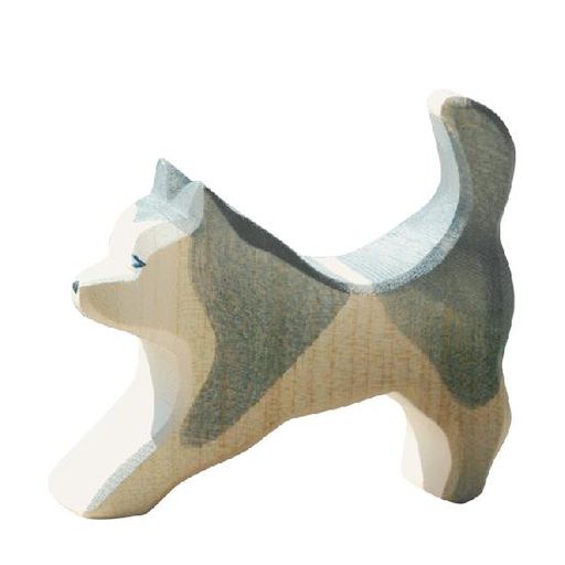 Dog - Sled Dog running