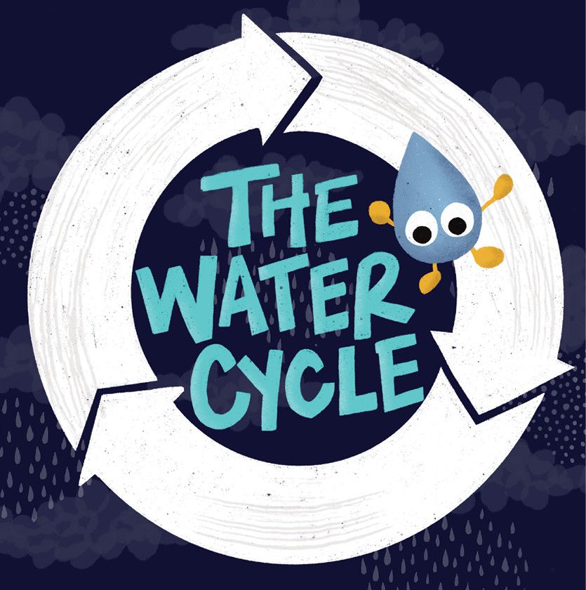 The Water Cycle