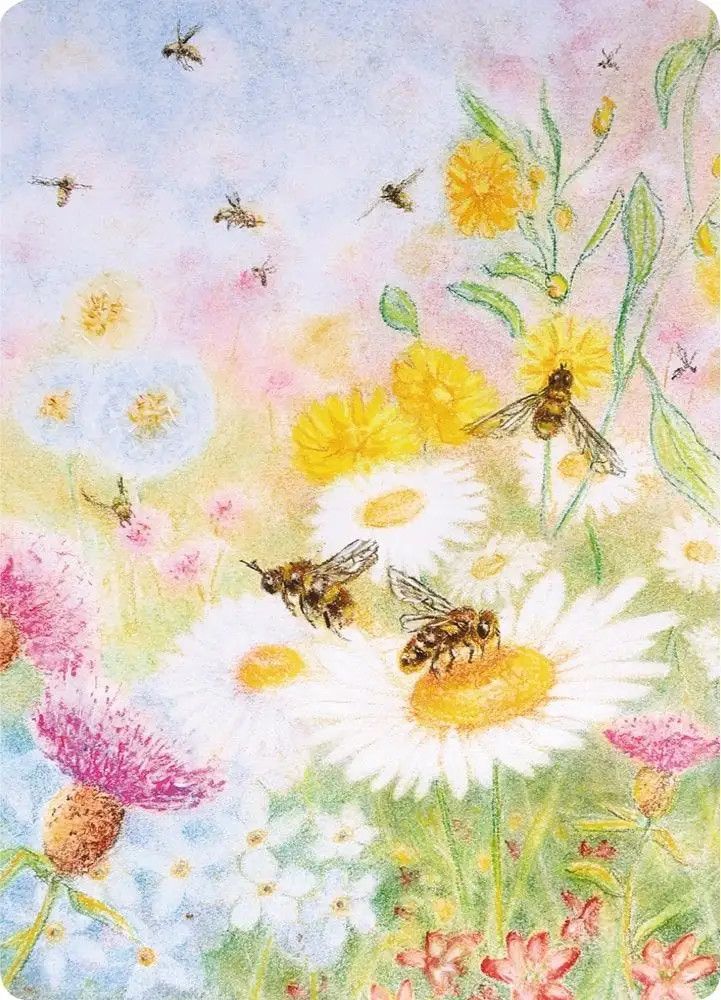 Postcard Kapitein Kalk Bees and Fields, Color: Bee Pasture