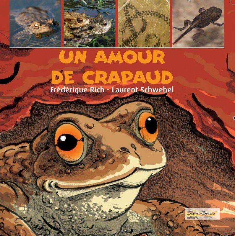Un amour de crapaud