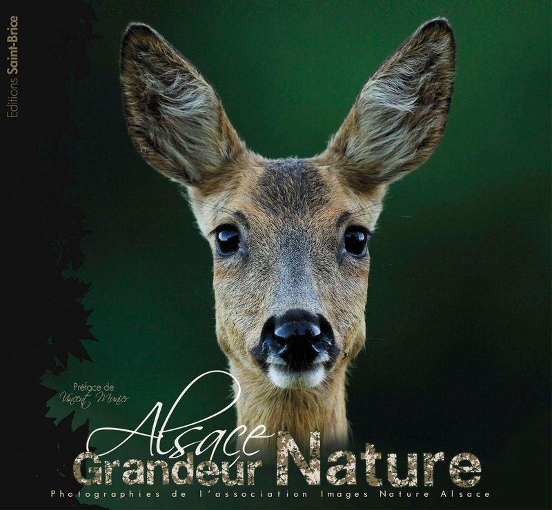 Alsace grandeur nature