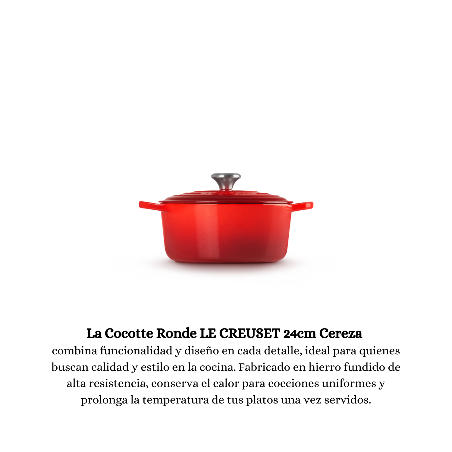 Cocotte Ronde de 24 CM de Le Creuset