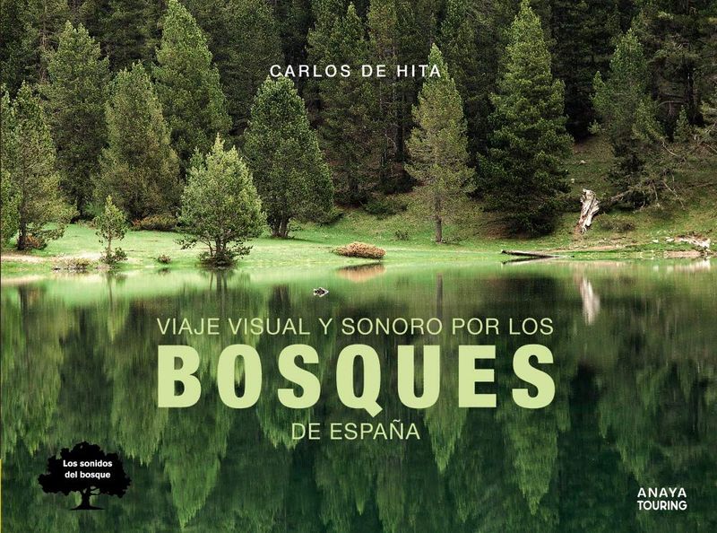 Viaje visual y sonoro por los bosques de España – Guía sensorial | Anaya Touring Viaje visual y sonoro por los bosques de España – Guía sensorial | Anaya Touring