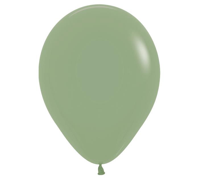 11&quot; Eucalyptus latex