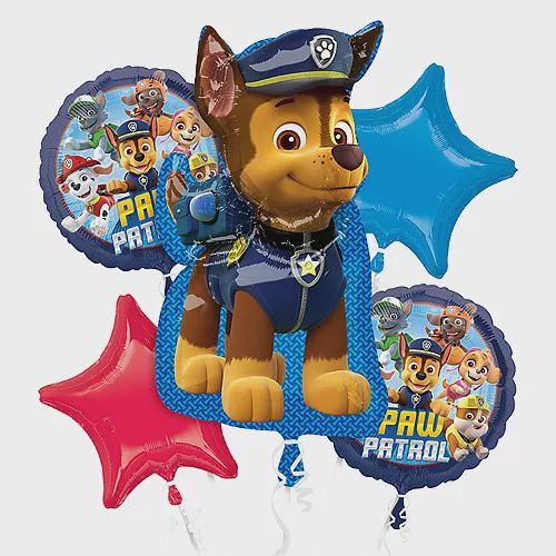 5PC Paw Patrol Bouquet (300)