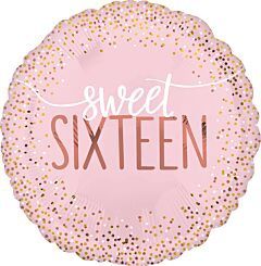 17&quot; Sixteen Blush