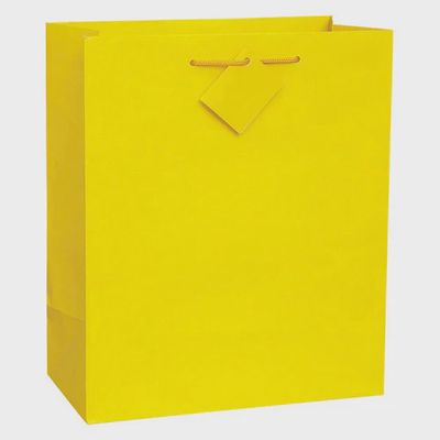 Solid Color Gift Bags