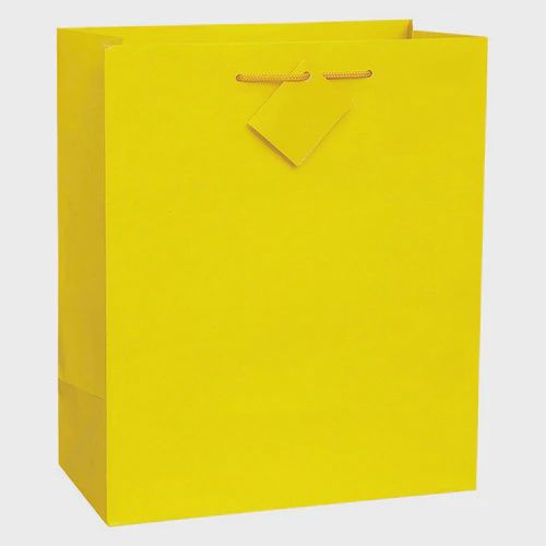 Solid Color Gift Bags